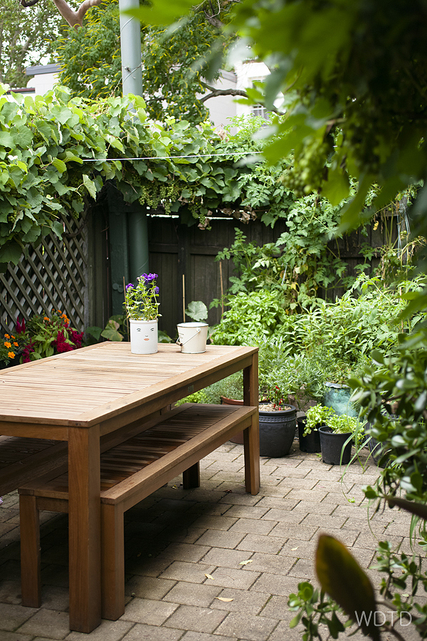 WDTD is in love with Niki's cute and very lush little backyard that is packed with many green goodness!