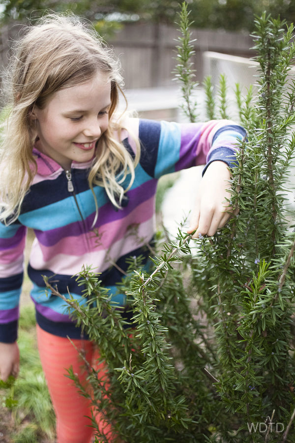 John's daughter helped picked some fresh herb from the garden to go onto the pizza